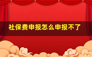 社保费申报怎么申报不了