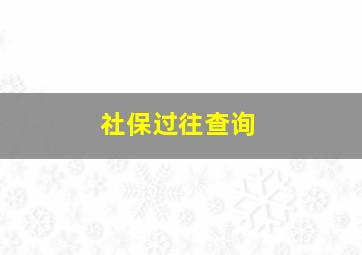 社保过往查询