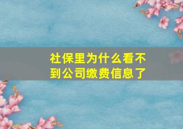 社保里为什么看不到公司缴费信息了