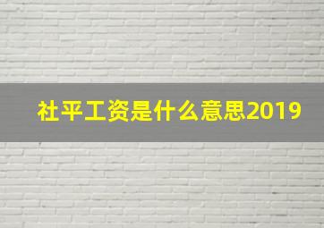 社平工资是什么意思2019