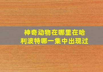 神奇动物在哪里在哈利波特哪一集中出现过