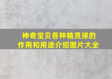 神奇宝贝各种精灵球的作用和用途介绍图片大全