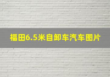 福田6.5米自卸车汽车图片