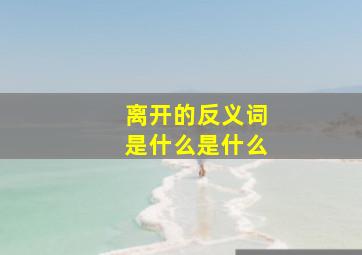 离开的反义词是什么是什么