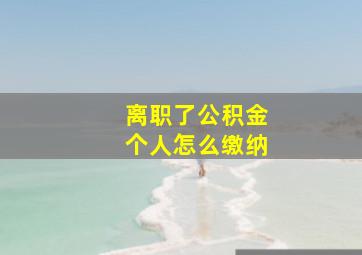 离职了公积金个人怎么缴纳