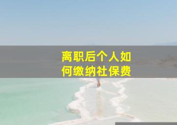 离职后个人如何缴纳社保费