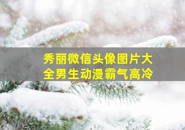 秀丽微信头像图片大全男生动漫霸气高冷