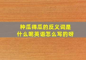 种瓜得瓜的反义词是什么呢英语怎么写的呀