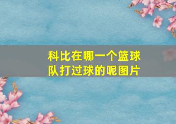 科比在哪一个篮球队打过球的呢图片