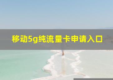 移动5g纯流量卡申请入口