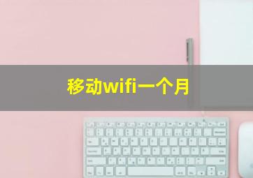 移动wifi一个月