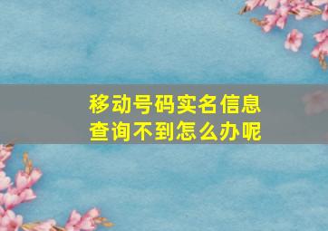 移动号码实名信息查询不到怎么办呢