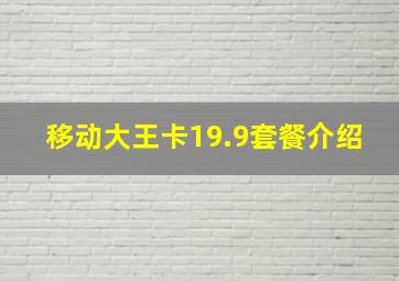 移动大王卡19.9套餐介绍