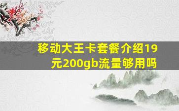 移动大王卡套餐介绍19元200gb流量够用吗