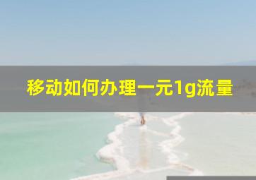 移动如何办理一元1g流量