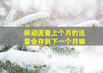 移动流量上个月的流量会存到下一个月嘛