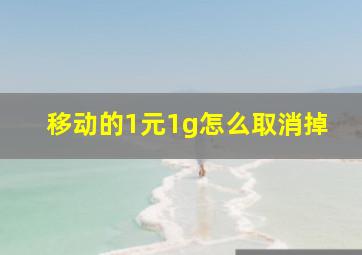 移动的1元1g怎么取消掉