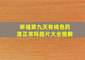 移植第九天有褐色药渣正常吗图片大全图解