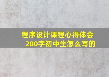 程序设计课程心得体会200字初中生怎么写的