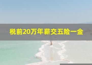 税前20万年薪交五险一金