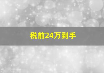 税前24万到手