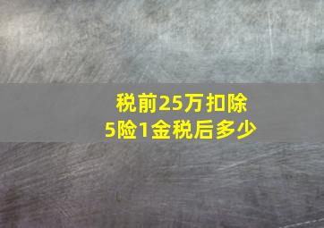 税前25万扣除5险1金税后多少