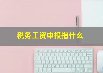 税务工资申报指什么