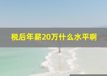 税后年薪20万什么水平啊