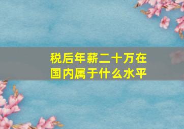 税后年薪二十万在国内属于什么水平