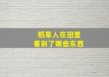 稻草人在田里看到了哪些东西