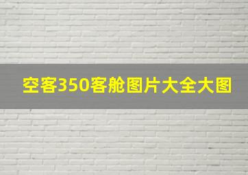 空客350客舱图片大全大图