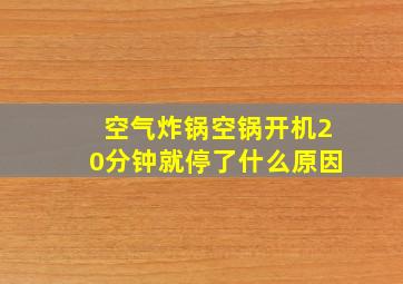 空气炸锅空锅开机20分钟就停了什么原因