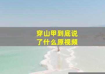 穿山甲到底说了什么原视频