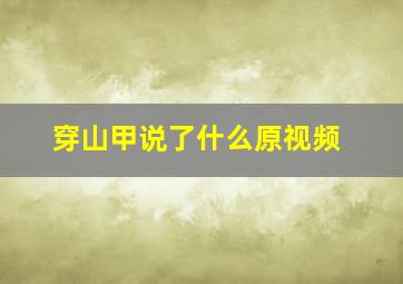 穿山甲说了什么原视频