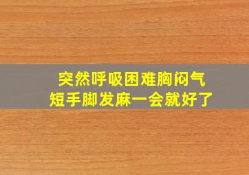 突然呼吸困难胸闷气短手脚发麻一会就好了