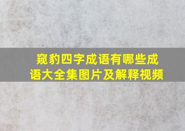 窥豹四字成语有哪些成语大全集图片及解释视频