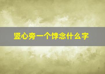 竖心旁一个饽念什么字