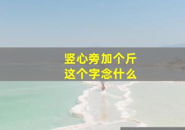 竖心旁加个斤这个字念什么