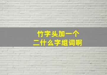 竹字头加一个二什么字组词啊