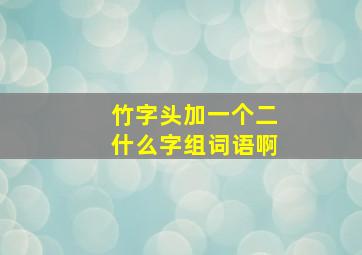 竹字头加一个二什么字组词语啊