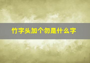 竹字头加个勿是什么字