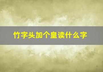 竹字头加个皇读什么字