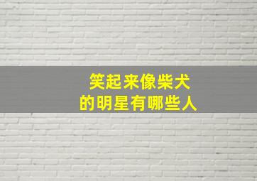 笑起来像柴犬的明星有哪些人