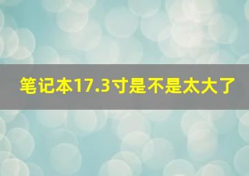 笔记本17.3寸是不是太大了