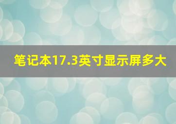 笔记本17.3英寸显示屏多大