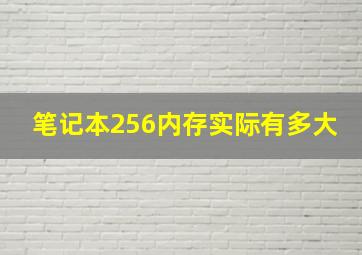 笔记本256内存实际有多大