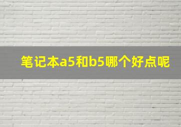 笔记本a5和b5哪个好点呢