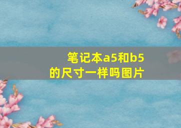 笔记本a5和b5的尺寸一样吗图片