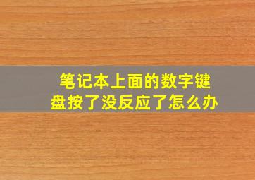 笔记本上面的数字键盘按了没反应了怎么办