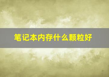 笔记本内存什么颗粒好